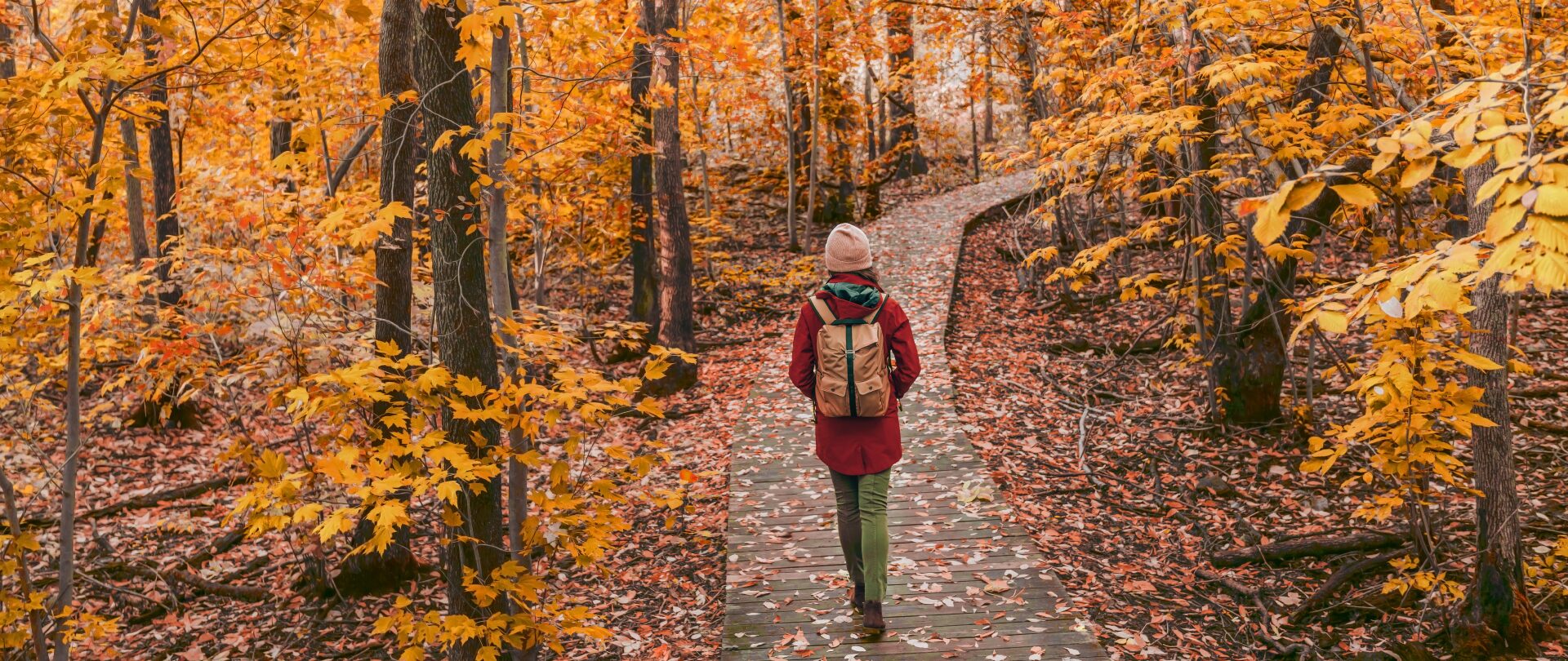 Fall Facilities Management: Seasonal Readiness