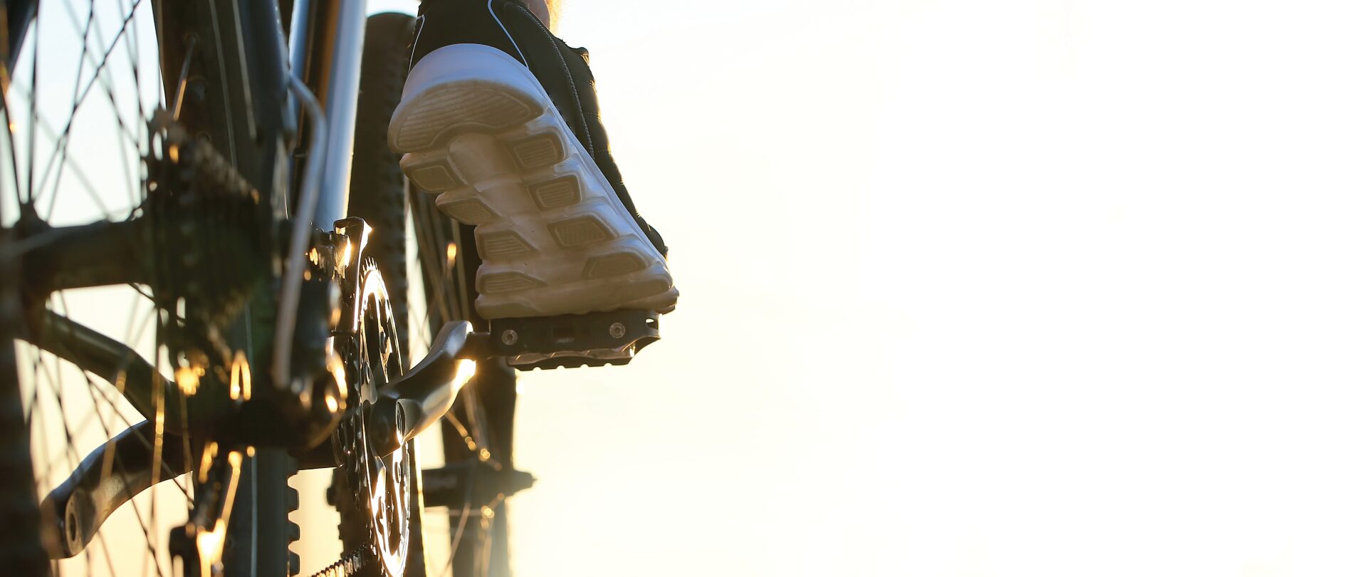 GSH’s New Carbon Emission Free Rides