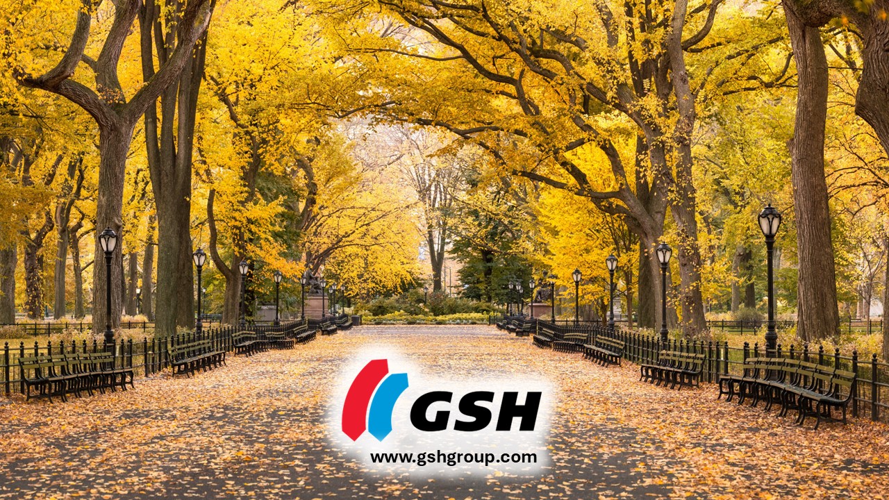 No photo description available.