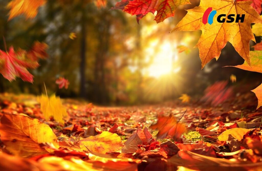 23 Autumn Equinox