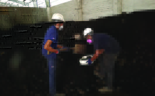 GSH Employees Mix Biomass With Coal in India