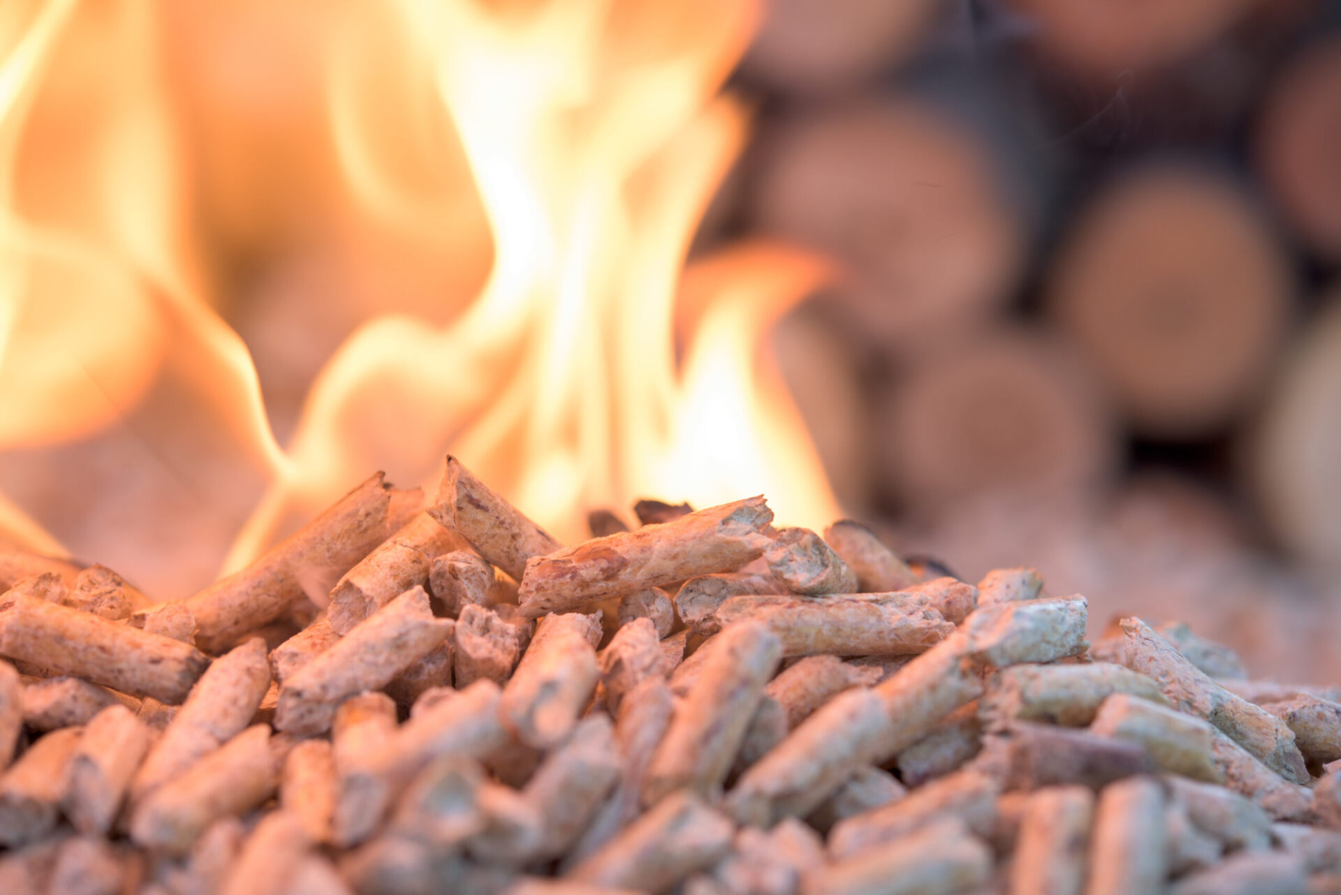 GSH Group Mixes Biomass with Coal in India