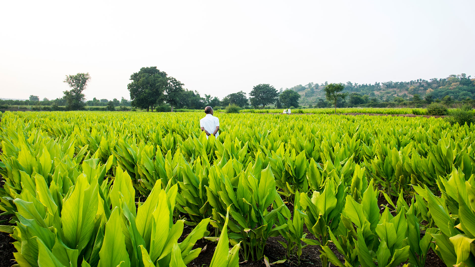 GSH Wins Major Environmental Award