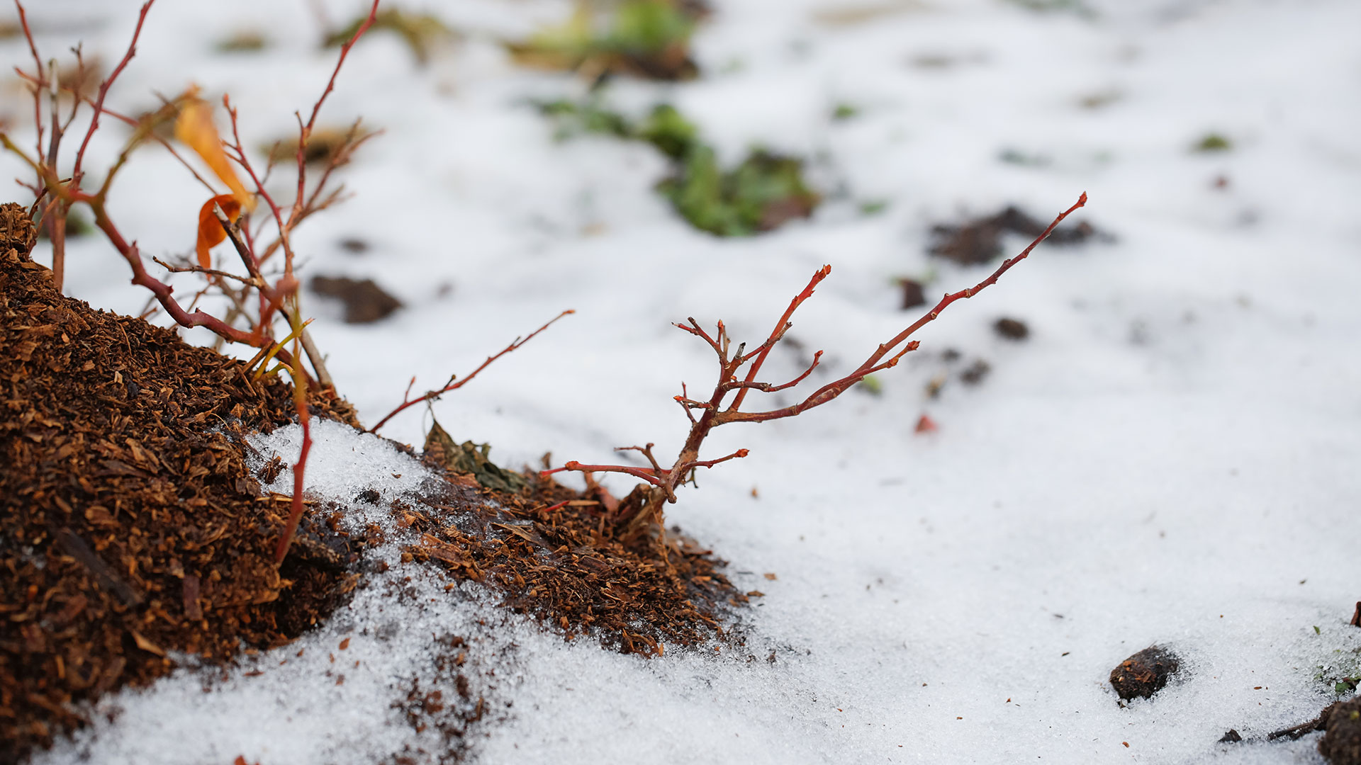 Winter Preparedness: DOs & DONTs to Survive the Deep Freeze!